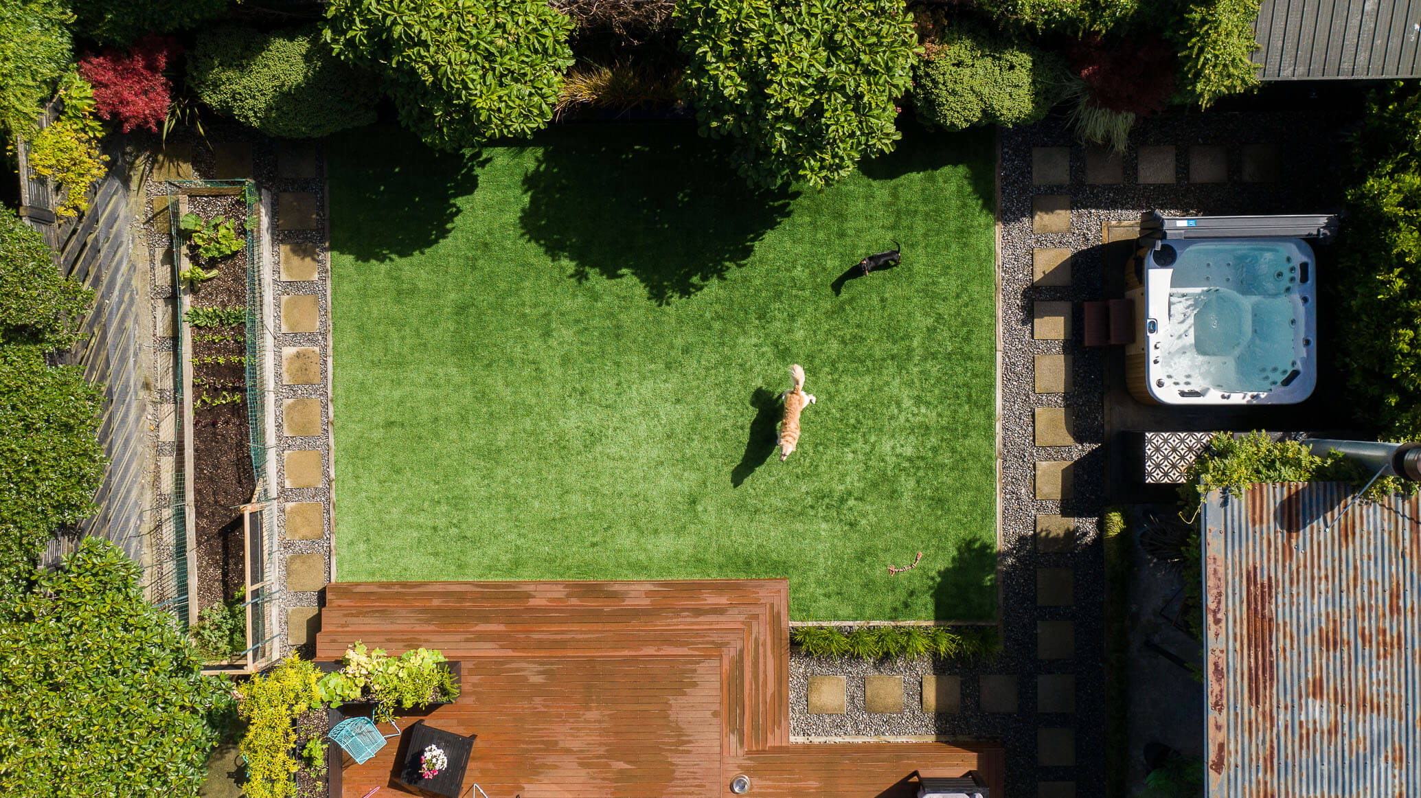 chucky.creative SmartGrass WLG Joe WEB 0150 Goodbye to Paw Prints & Mud: Wellington Family's Life Transformed
