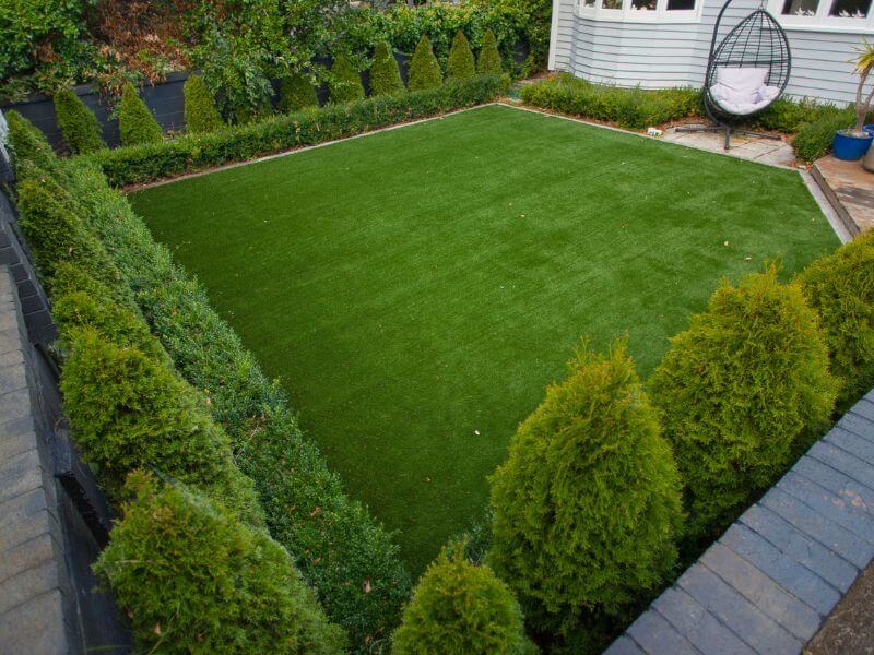 Charlotte study VT 800 x 600 Transforming Charlotte's Lawn - A Great Investment
