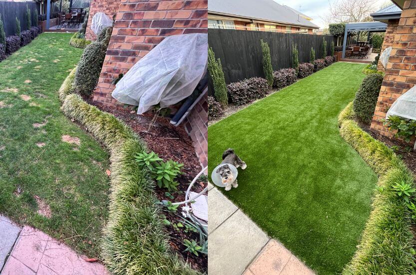 Stop digging with artificial grass for dog owners - can dogs dig through artificial grass Stop digging with artificial grass for dog owners - can dogs dig through artificial grass